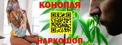 Альфа ПВП Обь