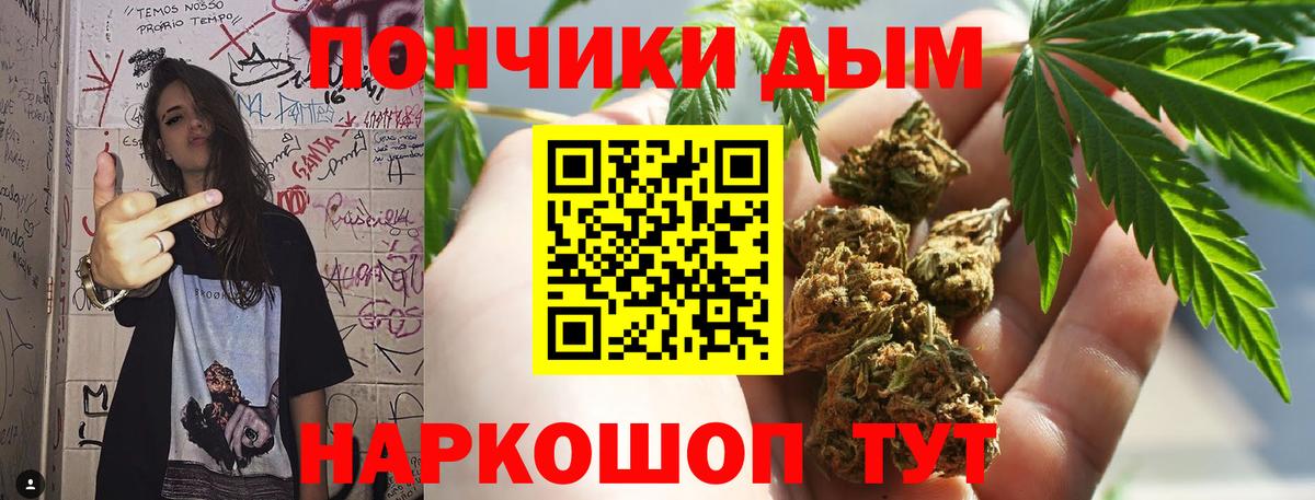 Каннабис план Сорочинск