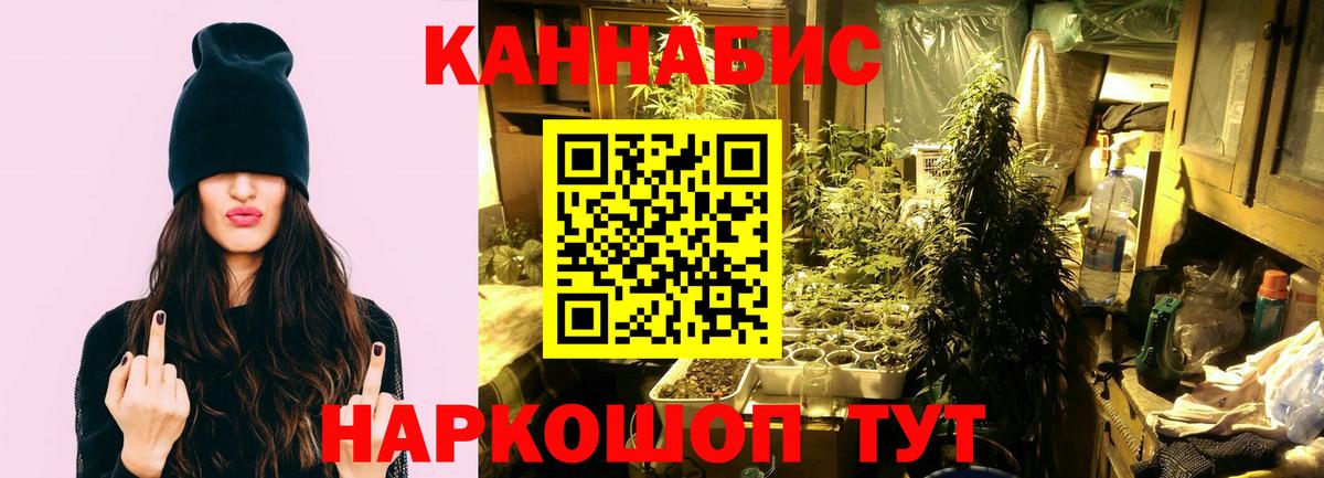 Бошки марихуана ГИДРОПОН  Конопля Bruce Banner  Сорочинск  Бошки марихуана Ganja  Бошки марихуана LSD WEED  Вход с VPN 